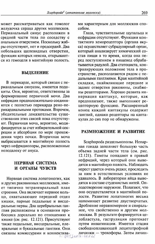 Эдвард Руперт -  Зоология беспозвоночных. В 4-х томах. Том 2. Низшие целомические животные - Страница № 270