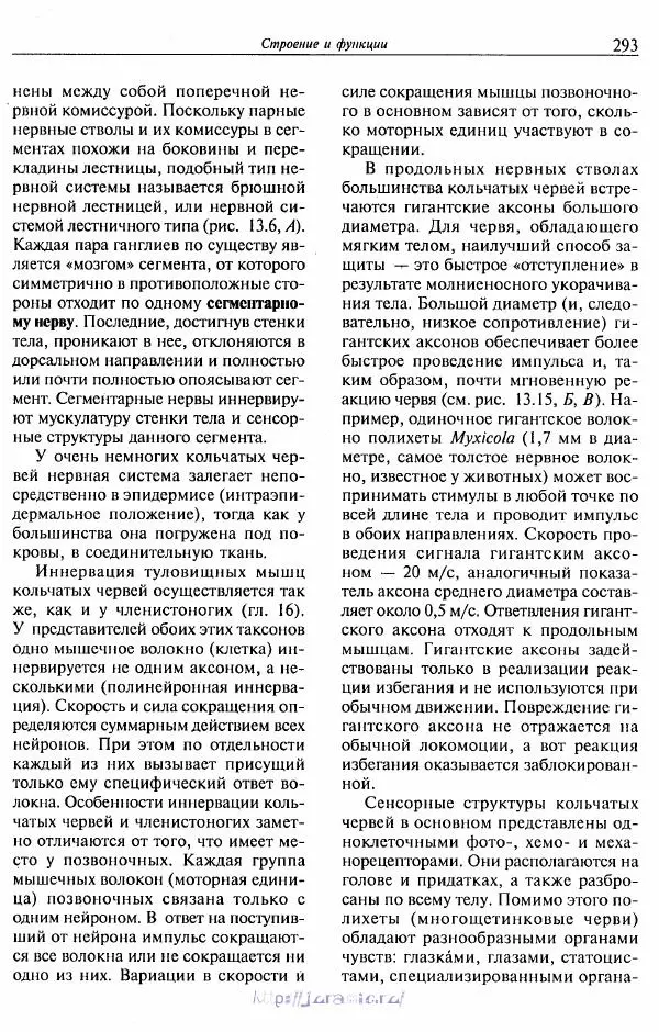 Эдвард Руперт -  Зоология беспозвоночных. В 4-х томах. Том 2. Низшие целомические животные - Страница № 294