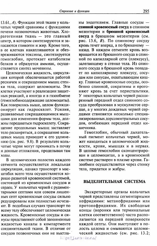 Эдвард Руперт -  Зоология беспозвоночных. В 4-х томах. Том 2. Низшие целомические животные - Страница № 296