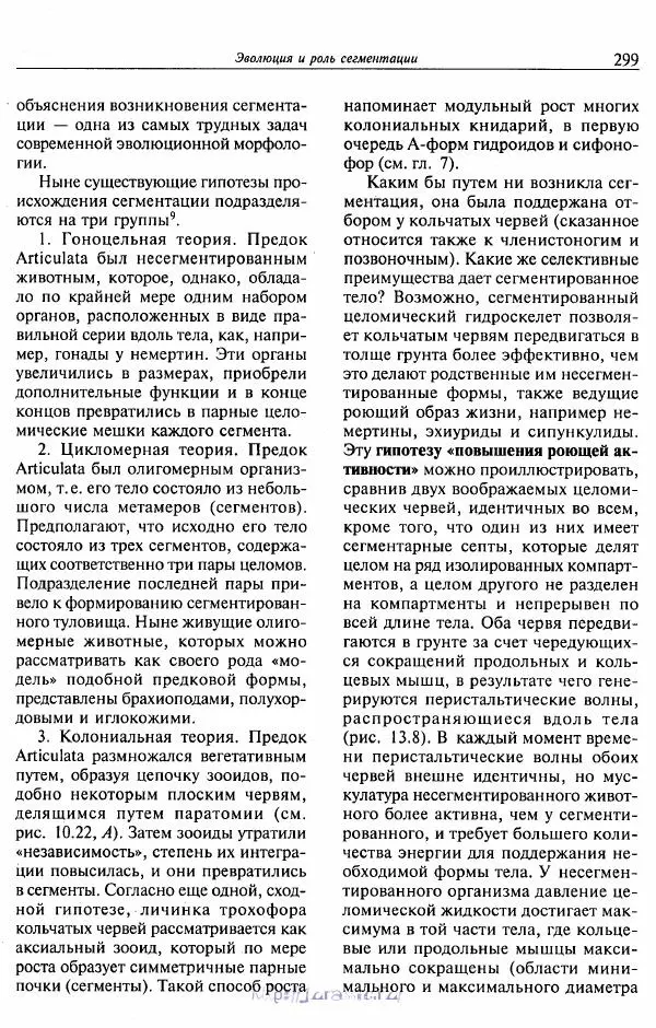 Эдвард Руперт -  Зоология беспозвоночных. В 4-х томах. Том 2. Низшие целомические животные - Страница № 300
