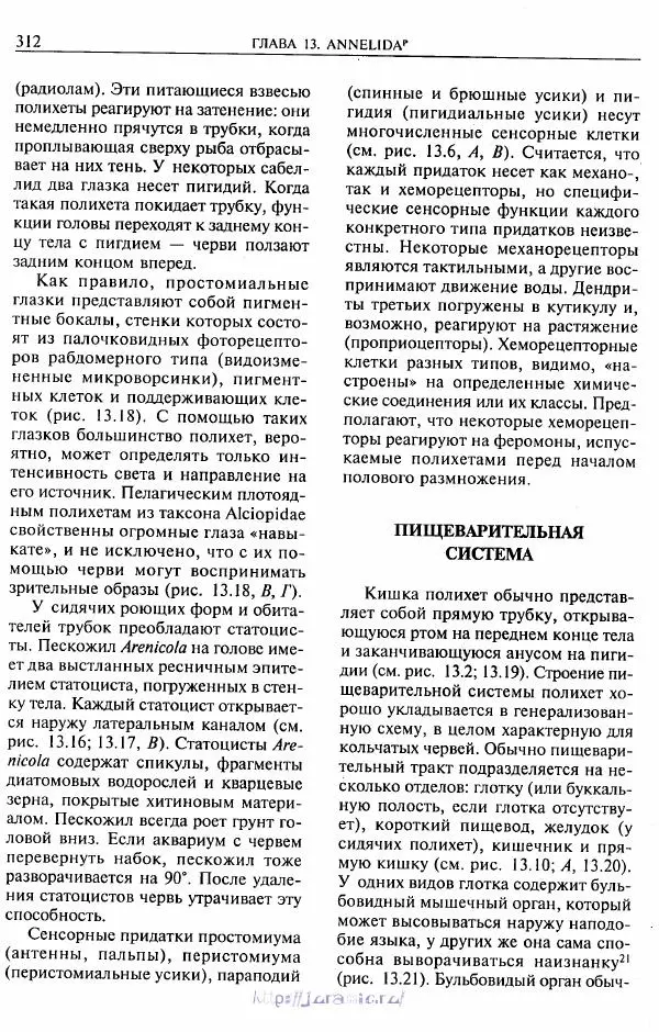 Эдвард Руперт -  Зоология<!--p--><!--p--><!--p--><!--p--><!--p--><!--p--><!--p--><!--p--><!--p--><!--p--><!--p--><!--p--><!--p--><!--p--><!--p--><!--p--><!--p--><!--p--><!--p--><!--p--><!--p--><!--p--><!--p--><!--p--><!--p--><!--p--><!--p--><!--p--><!--p--><!--p--><!--p--><!--p--><!--p--><!--p--><!--p--><!--p--><!--p--><!--p--><!--p--><!--p--><!--p--><!--p--><!--p--><!--p--><!--p--><!--p--><!--p--><!--p--><!--p--><!--p--><!--p--><!--p--><!--p--><!--p--><!--p--><!--p--><!--p--><!--p--><!--p--><!--p--><!--p--><!--p--><!--p--><!--p--><!--p--><!--p--><!--p--><!--p--><!--p--><!--p--><!--p--><!--p--><!--p--><!--p--><!--p--><!--p--><!--p--><!--p--><!--p--><!--p--><!--p--><!--p--><!--p--><!--p--><!--p--><!--p--><!--p--><!--p--><!--p--><!--p--><!--p--><!--p--><!--p--><!--p--><!--p--><!--p--><!--p--><!--p--><!--p--><!--p--><!--p--><!--p--><!--p--><!--p--><!--p--><!--p--><!--p--><!--p--><!--p--><!--p--><!--p--><!--p--><!--p--><!--p--><!--p--><!--p--><!--p--><!--p--><!--p--><!--p--><!--p--><!--p--><!--p--><!--p--><!--p--><!--p--><!--p--><!--p--><!--p--><!--p--><!--p--><!--p--><!--p--><!--p--><!--p--><!--p--><!--p--><!--p--><!--p--><!--p--><!--p--><!--p--><!--p--><!--p--><!--p--><!--p--><!--p--><!--p--><!--p--><!--p--><!--p--><!--p--><!--p--><!--p--><!--p--><!--p-->беспозвоночных. В 4-х томах. Том 2. Низшие целомические животные - Страница № 313