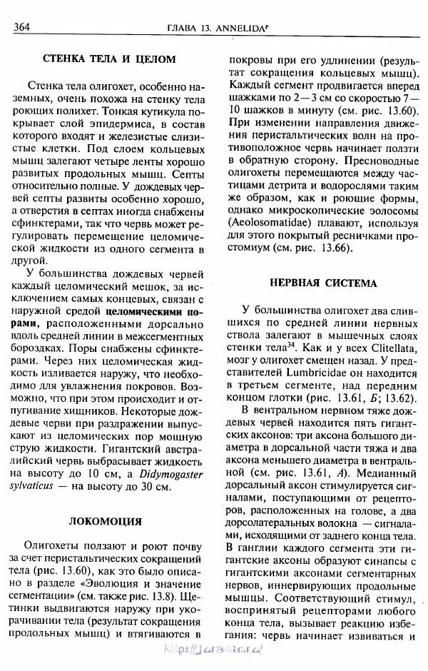 Эдвард Руперт -  Зоология беспозвоночных. В 4-х томах. Том 2. Низшие целомические животные - Страница № 365