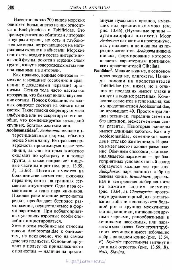 Эдвард Руперт -  Зоология беспозвоночных. В 4-х томах. Том 2. Низшие целомические животные - Страница № 381