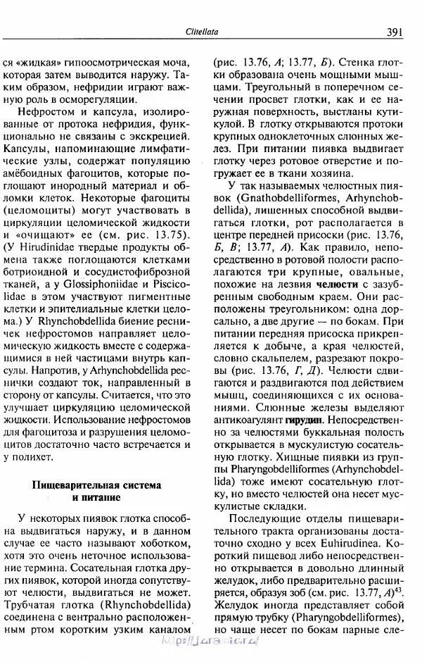 Эдвард Руперт -  Зоология беспозвоночных. В 4-х томах. Том 2. Низшие целомические животные - Страница № 392