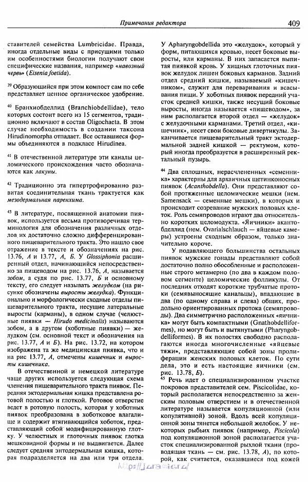 Эдвард Руперт -  Зоология беспозвоночных. В 4-х томах. Том 2. Низшие целомические животные - Страница № 410