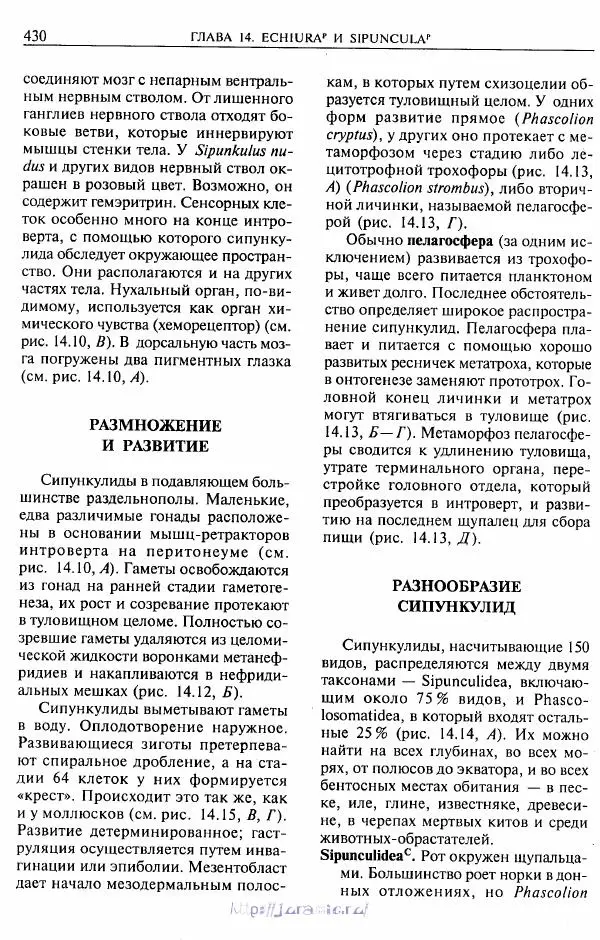 Эдвард Руперт -  Зоология беспозвоночных. В 4-х томах. Том 2. Низшие целомические животные - Страница № 431