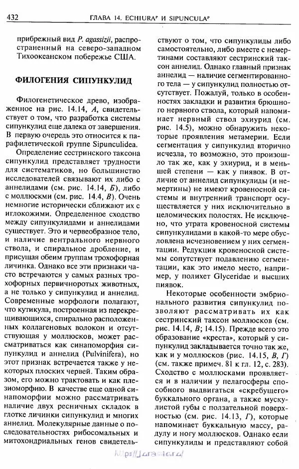 Эдвард Руперт -  Зоология беспозвоночных. В 4-х томах. Том 2. Низшие целомические животные - Страница № 433
