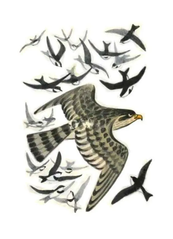 Виктор Астафьев - Стрижонок Скрип - Страница № 11