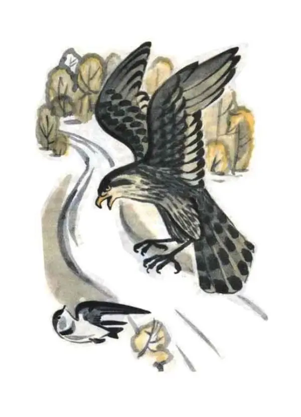 Виктор Астафьев - Стрижонок Скрип - Страница № 13