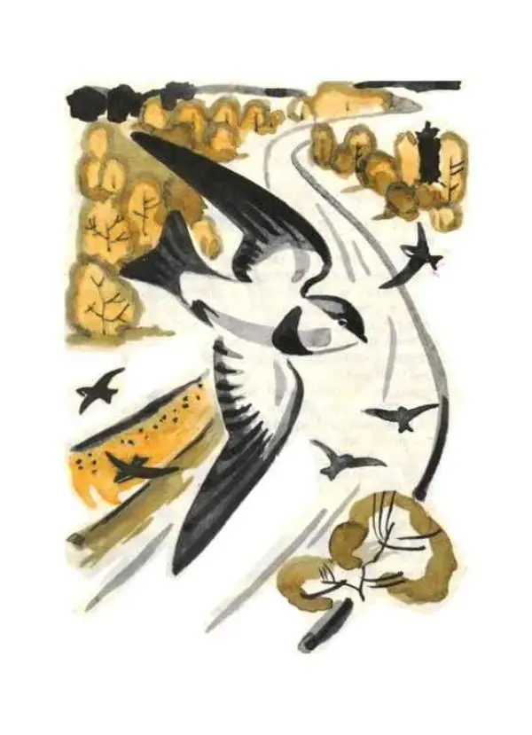 Виктор Астафьев - Стрижонок Скрип - Страница № 15