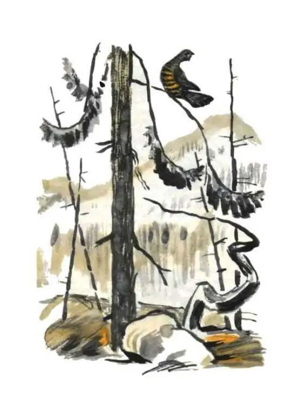 Виктор Астафьев - Стрижонок Скрип - Страница № 23