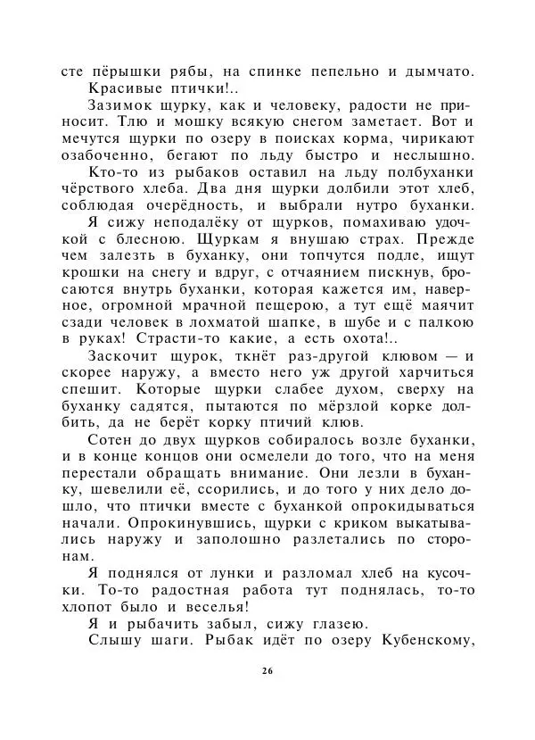 Виктор Астафьев - Стрижонок Скрип - Страница № 28