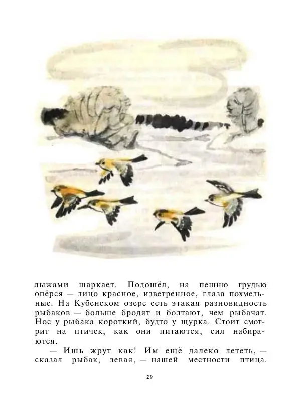 Виктор Астафьев - Стрижонок</p> --