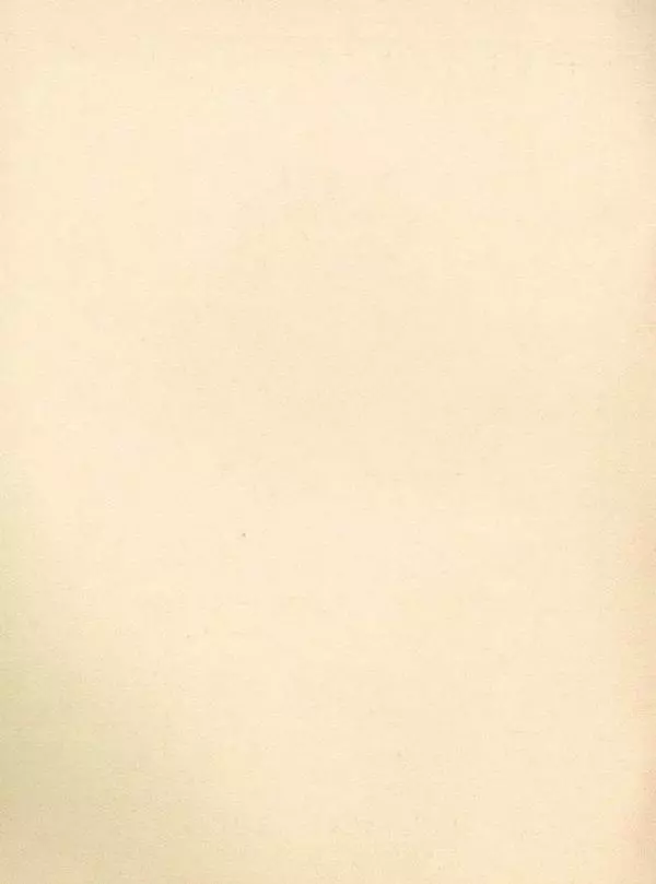 Борис Житков - Мангуста - Страница № 2