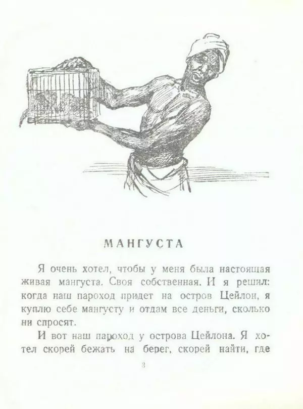 Борис Житков - Мангуста - Страница № 5