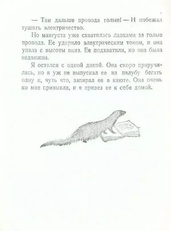 Борис Житков - Мангуста - Страница № 18