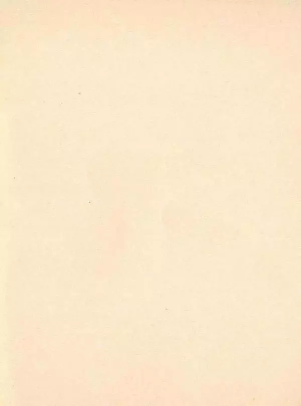 Борис Житков - Мангуста - Страница № 35