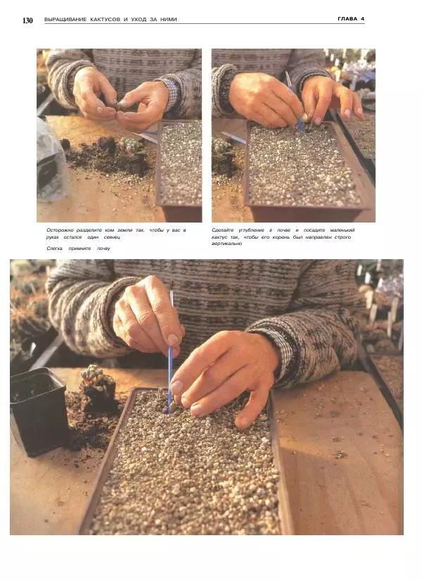 Нико Вермёлен - Кактусы - Страница № 131