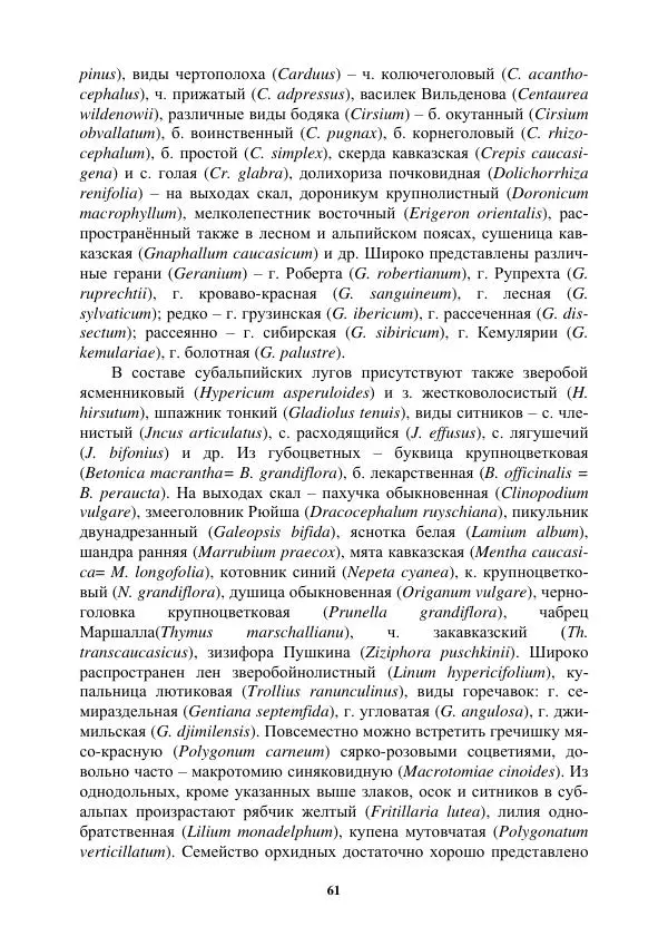Муса Тайсумов - Деревья и кустарники Чеченской республики. Монография - Страница № 61 Муса Тайсумов - Деревья и кустарники Чеченской республики. Монография - Страница № 61