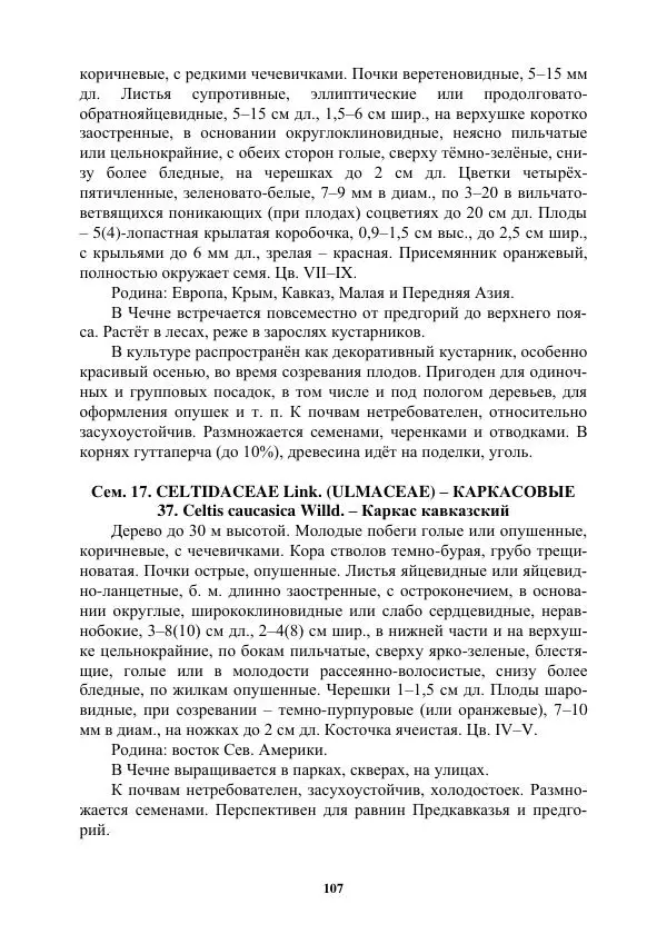 Муса Тайсумов - Деревья и кустарники Чеченской республики. Монография - Страница № 107 Муса Тайсумов - Деревья и кустарники Чеченской республики. Монография - Страница № 107