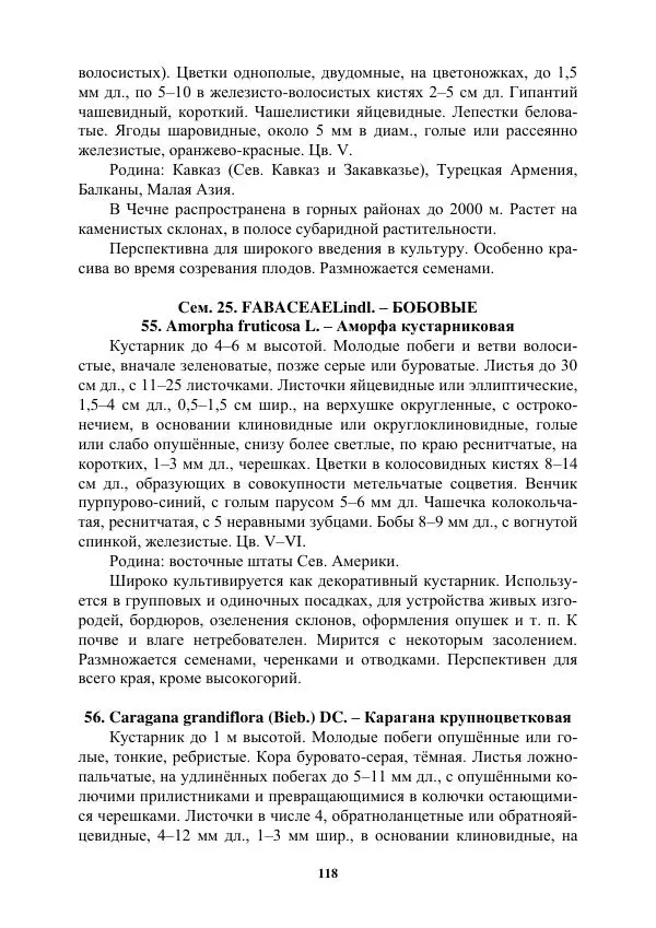 Муса Тайсумов - Деревья и кустарники Чеченской республики. Монография - Страница № 118 Муса Тайсумов - Деревья и кустарники Чеченской республики. Монография - Страница № 118