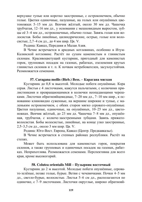 Муса Тайсумов - Деревья и кустарники Чеченской республики. Монография - Страница № 119 Муса Тайсумов - Деревья и кустарники Чеченской республики. Монография - Страница № 119