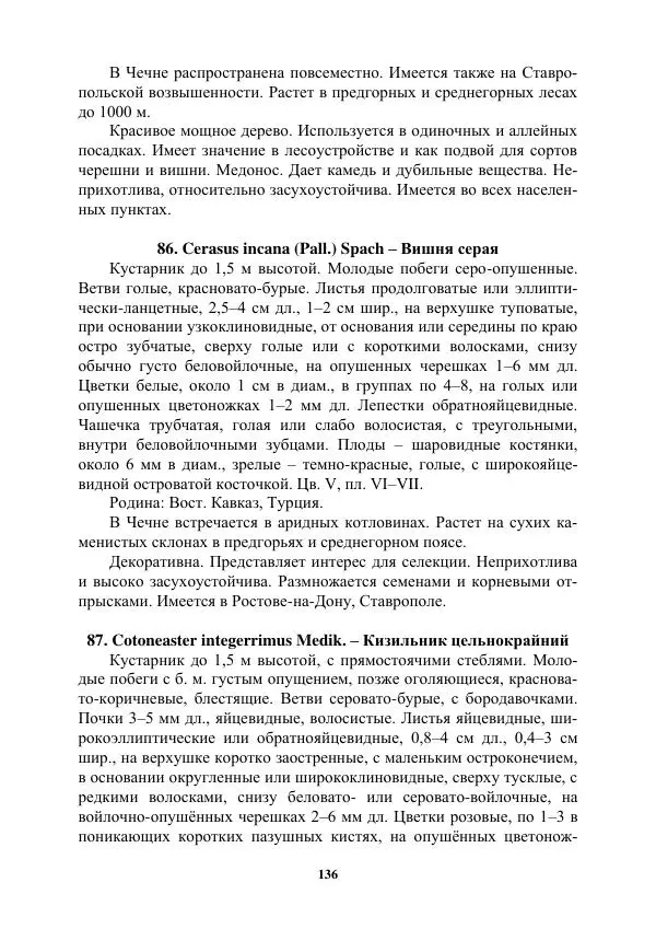 Муса Тайсумов - Деревья и кустарники Чеченской республики. Монография - Страница № 136 Муса Тайсумов - Деревья и кустарники Чеченской республики. Монография - Страница № 136
