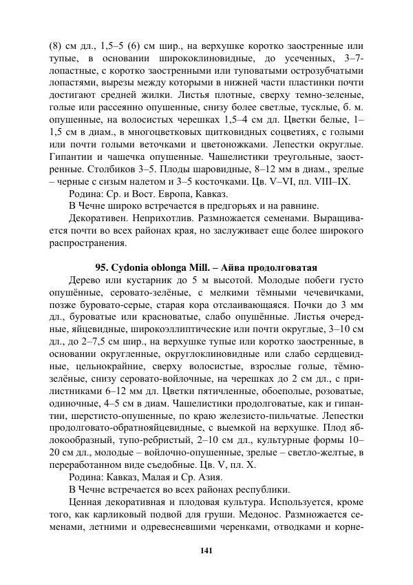 Муса Тайсумов - Деревья и кустарники Чеченской республики. Монография - Страница № 141 Муса Тайсумов - Деревья и кустарники Чеченской республики. Монография - Страница № 141