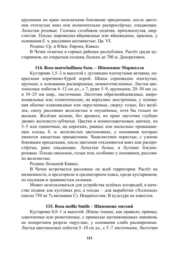 Муса Тайсумов - Деревья и кустарники Чеченской республики. Монография - Страница № 153 Муса Тайсумов - Деревья и кустарники Чеченской республики. Монография - Страница № 153