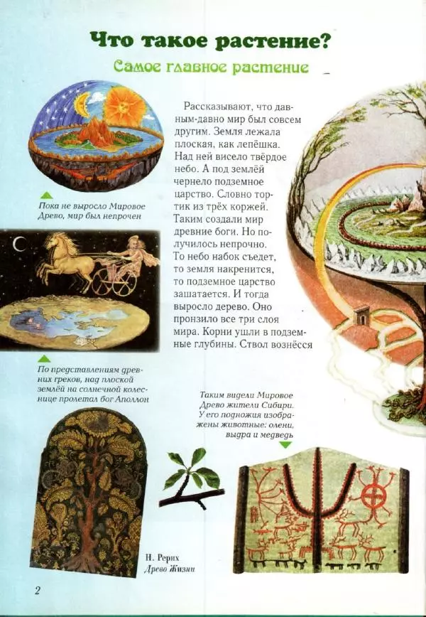 Светлана Лаврова - Занимательная ботаника для малышей - Страница № 5