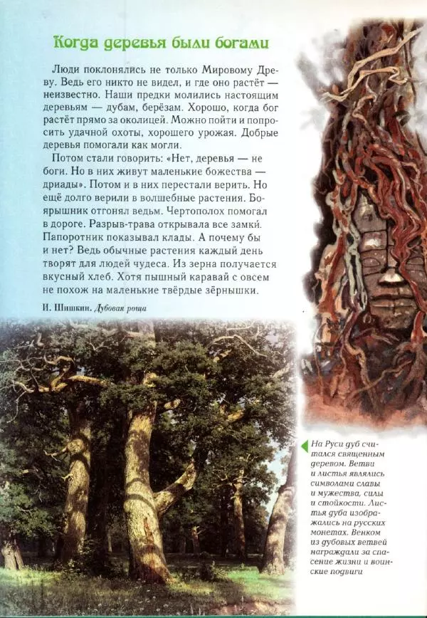 Светлана Лаврова - Занимательная ботаника для малышей - Страница № 7