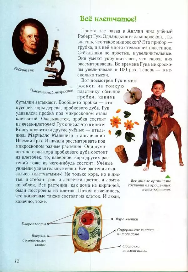 Светлана Лаврова - Занимательная ботаника для малышей - Страница № 15