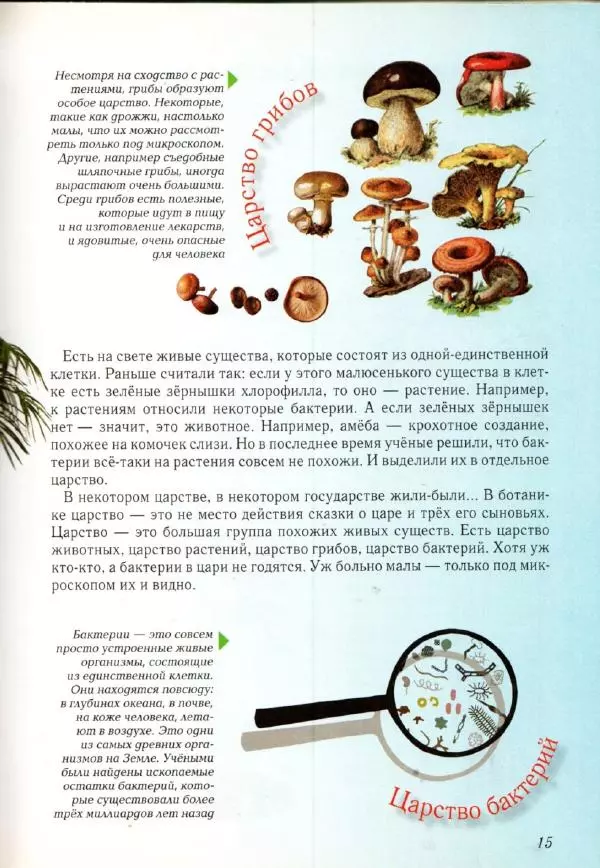 Светлана Лаврова - Занимательная ботаника для малышей - Страница № 18