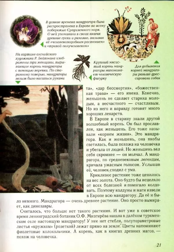 Светлана Лаврова - Занимательная ботаника для малышей - Страница № 24