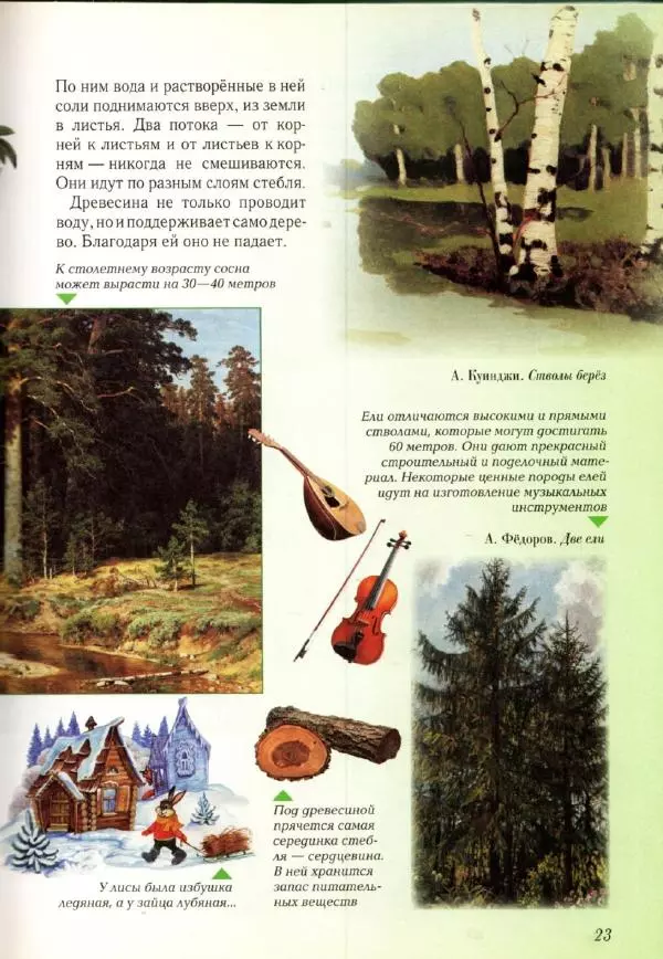 Светлана Лаврова - Занимательная ботаника для малышей - Страница № 26