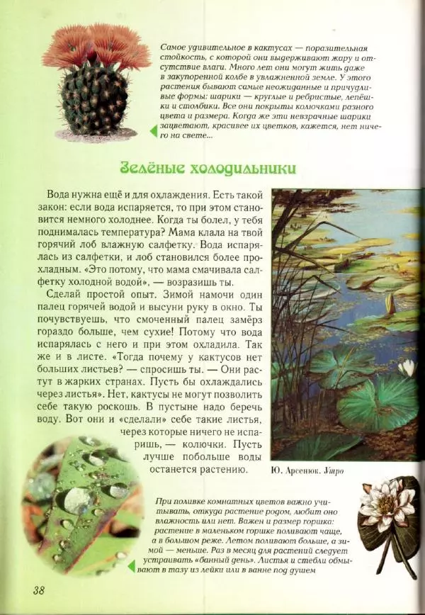 Светлана Лаврова - Занимательная ботаника для малышей - Страница № 41