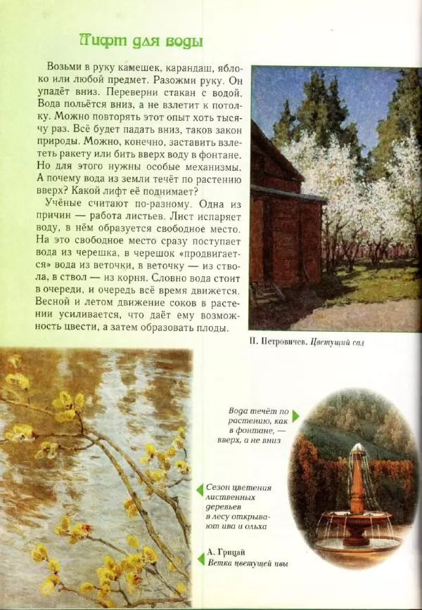 Светлана Лаврова - Занимательная ботаника для малышей - Страница № 43