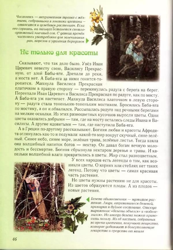 Светлана Лаврова - Занимательная ботаника для малышей - Страница № 49