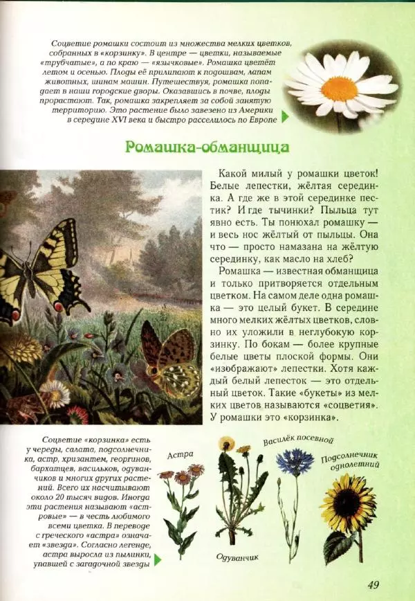 Светлана Лаврова - Занимательная ботаника для малышей - Страница № 52