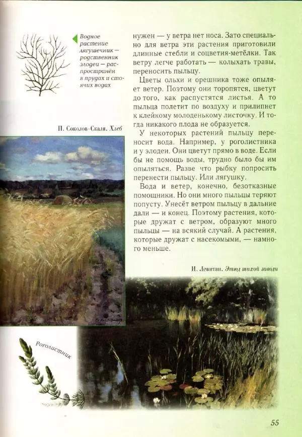 Светлана Лаврова - Занимательная ботаника для малышей - Страница № 58