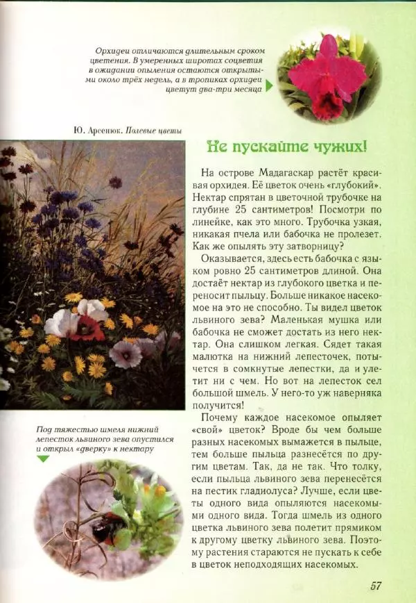 Светлана Лаврова - Занимательная ботаника для малышей - Страница № 60