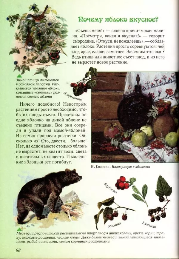 Светлана Лаврова - Занимательная ботаника для малышей - Страница № 71