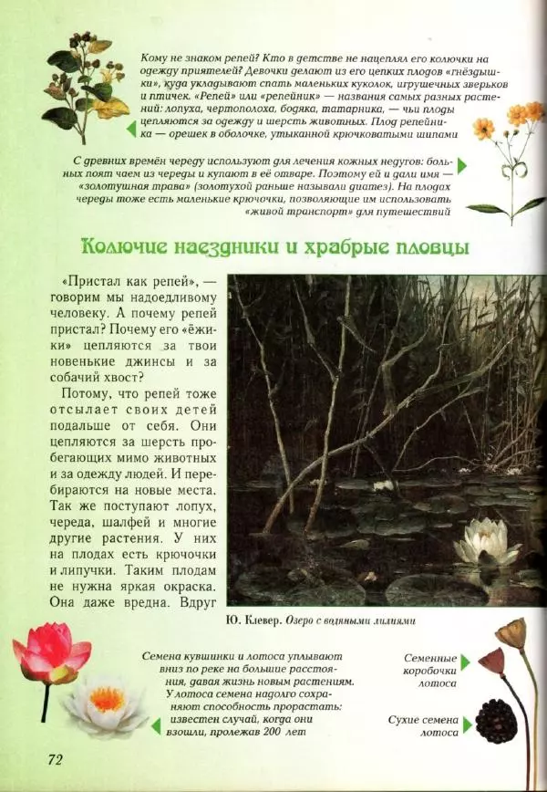 Светлана Лаврова - Занимательная ботаника для малышей - Страница № 75