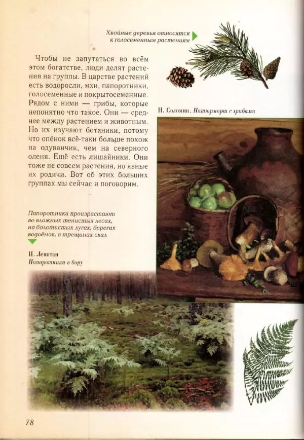 Светлана Лаврова - Занимательная ботаника для малышей - Страница № 81