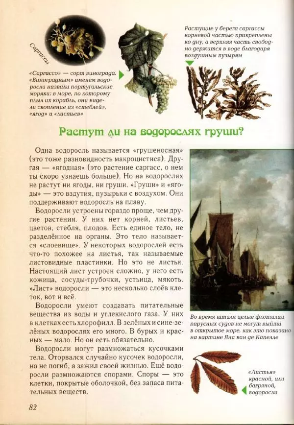 Светлана Лаврова - Занимательная ботаника для малышей - Страница № 85