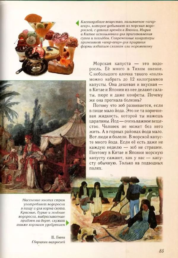 Светлана Лаврова - Занимательная ботаника для малышей - Страница № 88