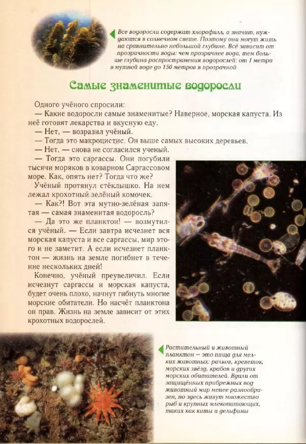 Светлана Лаврова - Занимательная ботаника для малышей - Страница № 89