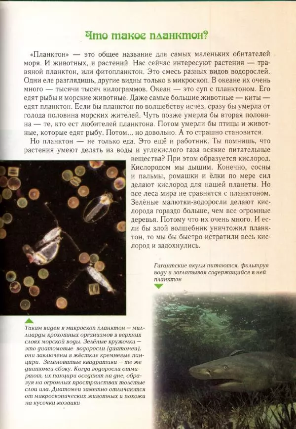 Светлана Лаврова - Занимательная ботаника для малышей - Страница № 90