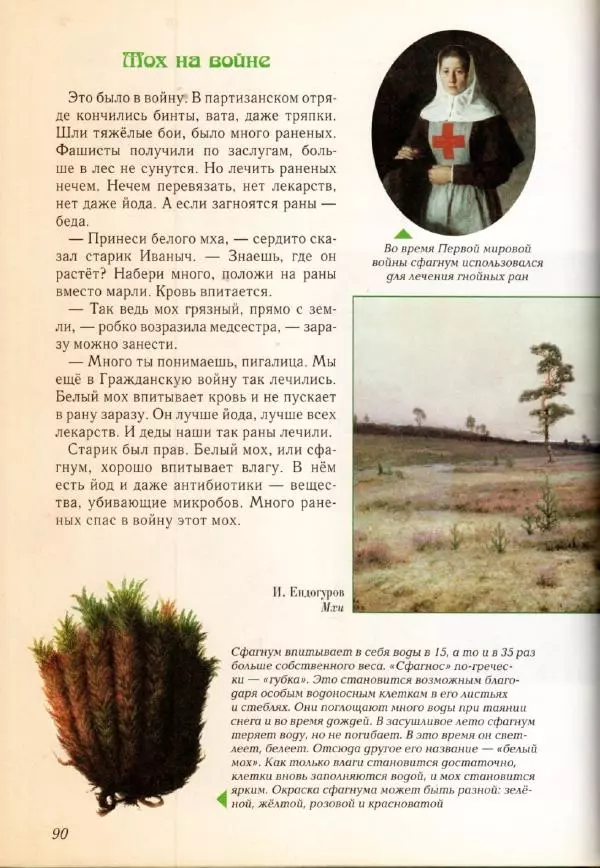 Светлана Лаврова - Занимательная ботаника для малышей - Страница № 93