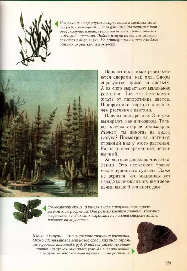 Светлана Лаврова - Занимательная ботаника для малышей - Страница № 98